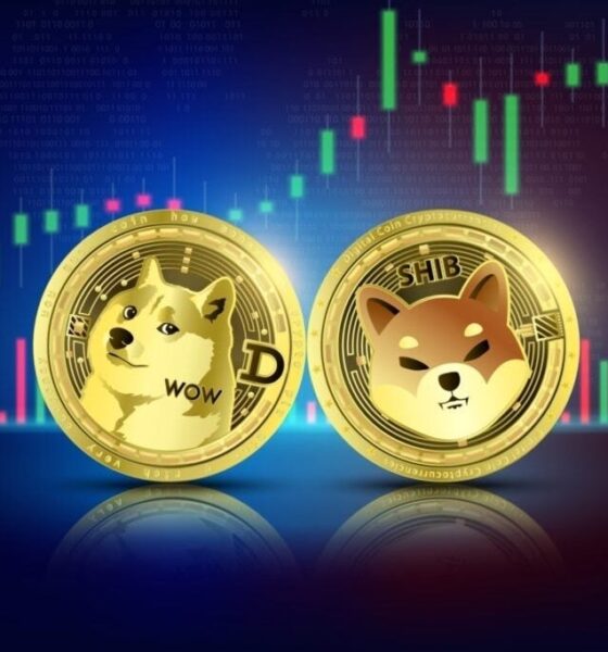 Top Crypto Trader Shares His 5 Meme Coin Portfolios, Calling One “This Cycle’s DOGE”