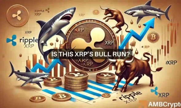 Will XRP Hit $0.63? How Whales and Sharks Can Help Altcoins Rally